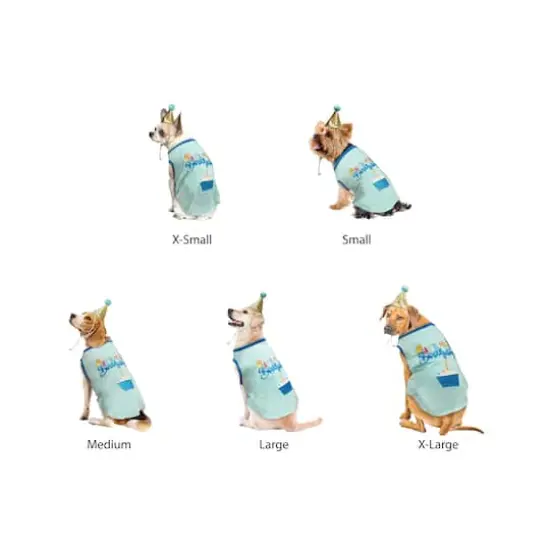 Best Furry Friends Birthday Boy Party Set {4}