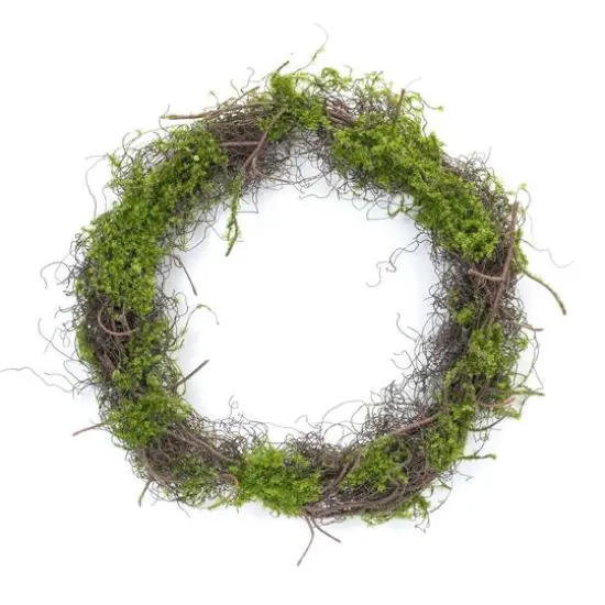 17.5" Moss Leaf Twig Wreath, 4ct. {3}