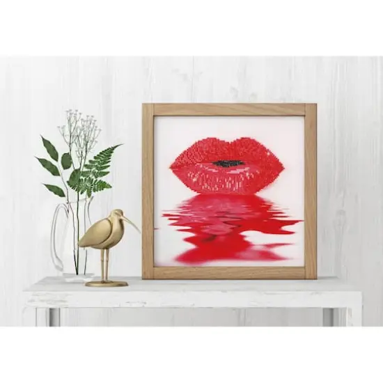 Diamond Dotz&reg; Intermediate Hot Lips Diamond Facet Art Kit {5}