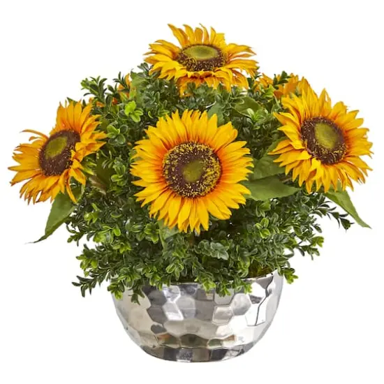 16" Sunflower Arrangement in Silver Vase {1}