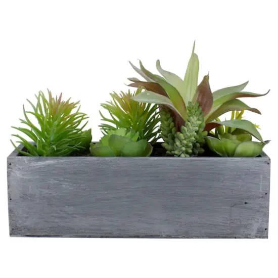 12" Mixed Succulent Plants in Rectangular Planter {1}