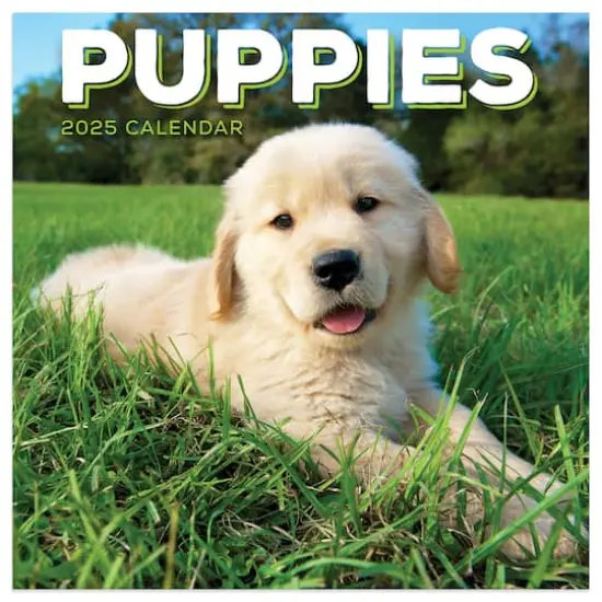 TF Publishing 2025 Puppies Mini Calendar {1}