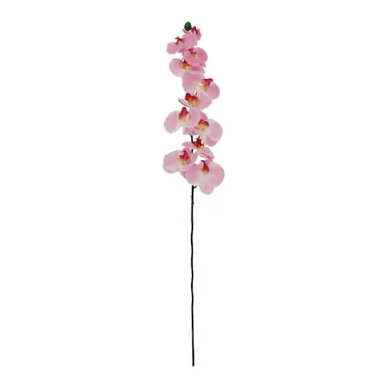 37" Pink Orchid Stem by Ashland&reg; {1}