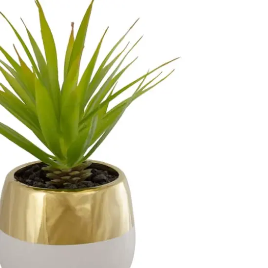 7" Potted Green Sword Grass Plant {5}