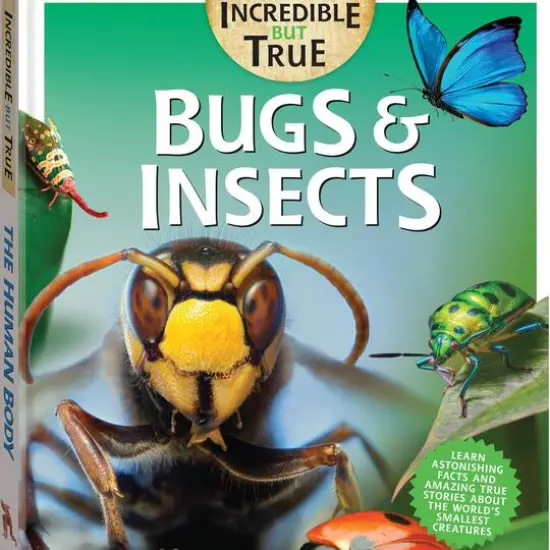 Incredible But True: Bugs & Insects {6}