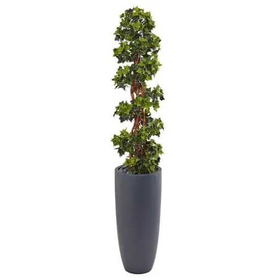 5ft. English Ivy Spiral Topiary Tree in Gray Planter {1}