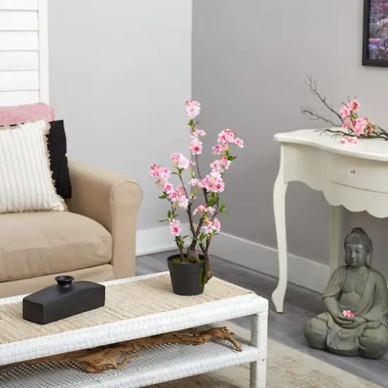 2.5ft. Potted Cherry Blossom Plant {5}