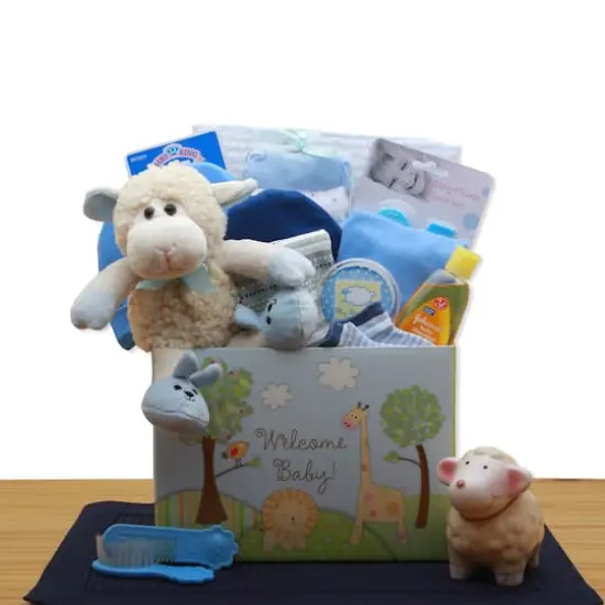 Welcome New Baby Boy Gift Box {1}