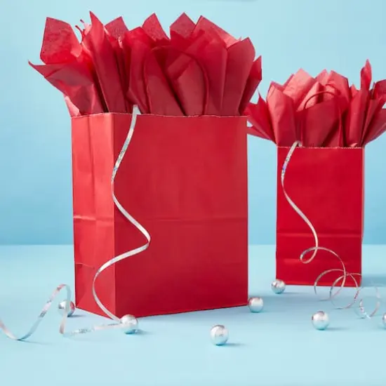 Medium Bags by Celebrate It&trade; Red {3}