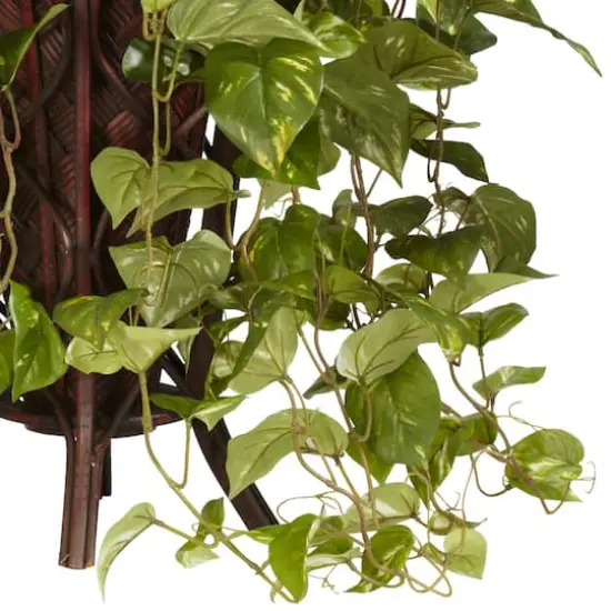 3ft. Vining Mixed Greens Plant in Decorative Stand {4}
