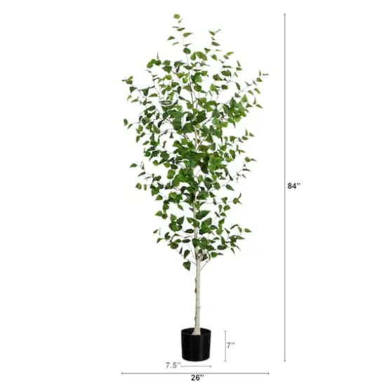 7ft. Birch Tree in Black Planter {5}