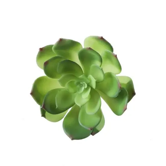 Flora Bunda&reg; Large Little Gem Succulent Pick, 6ct. {3}
