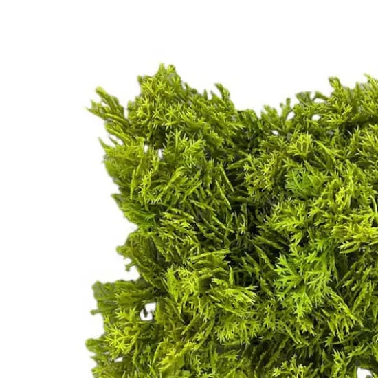 5" Faux Moss Mat by Ashland&reg; {3}
