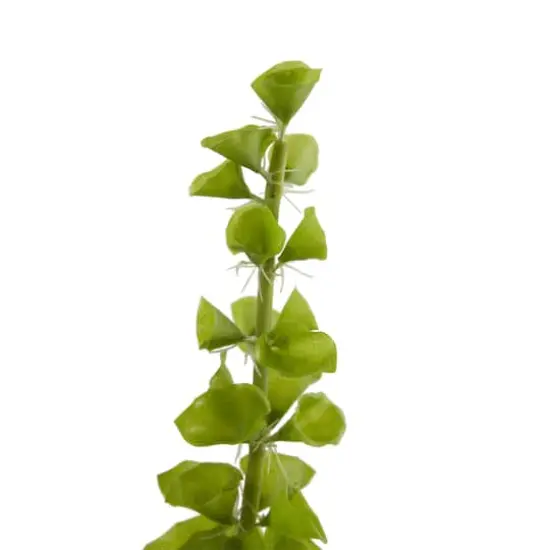 Bells of Ireland Stems, 3ct. {4}