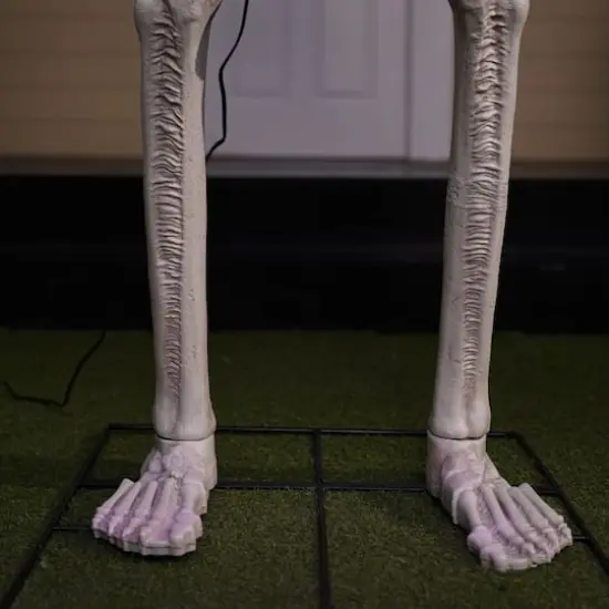 8ft. Skeleton by Ashland® {8}