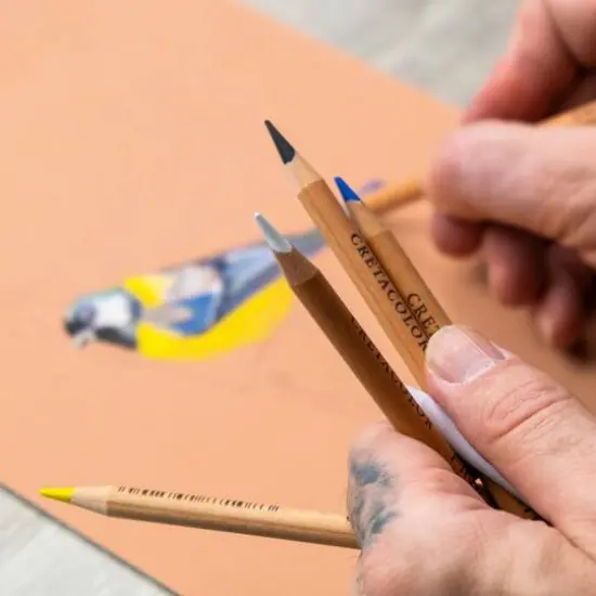 Cretacolor Bird 7 Piece Fine Art Pastel Pencil Set {7}