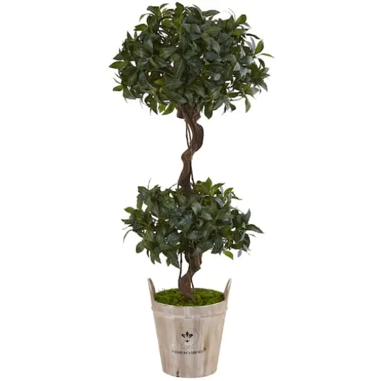 4.5ft. Sweet Bay Double Topiary Tree in Farmhouse Planter {1}