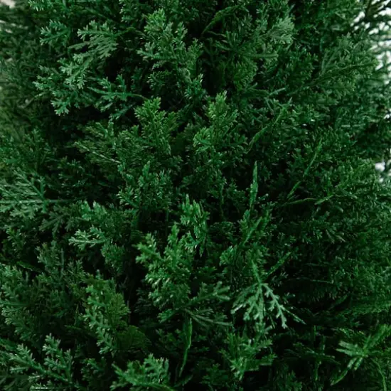 3ft. UV Resistant Cedar Plant Set with Integrated Ground Stake {4}