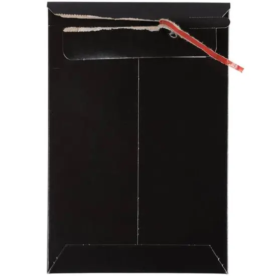 JAM Paper 6" x 9" Black Flat Photo Mailer Peel & Seal Closure Envelopes, 6ct. {6}