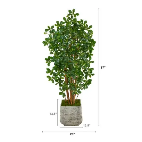 5.5ft. Black Olive Artificial Tree with 1365 Bendable Leaves in White Planter {3}