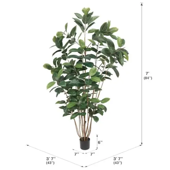 7ft. Potted Green Rubber Tree {5}
