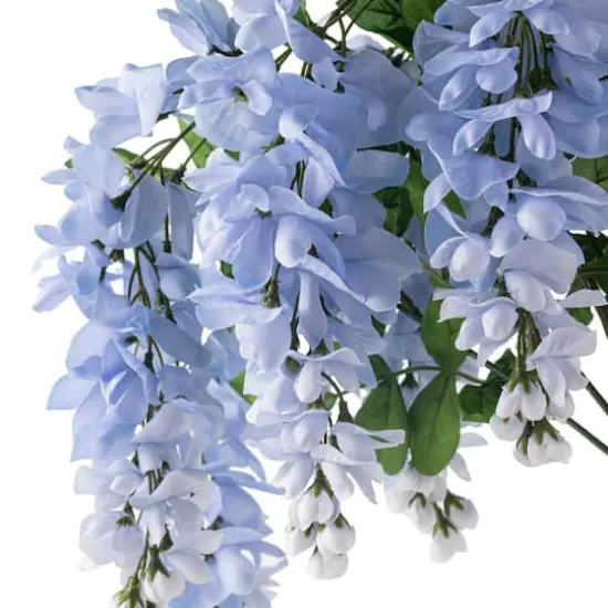 Blue Wisteria Bush by Ashland&reg; {3}