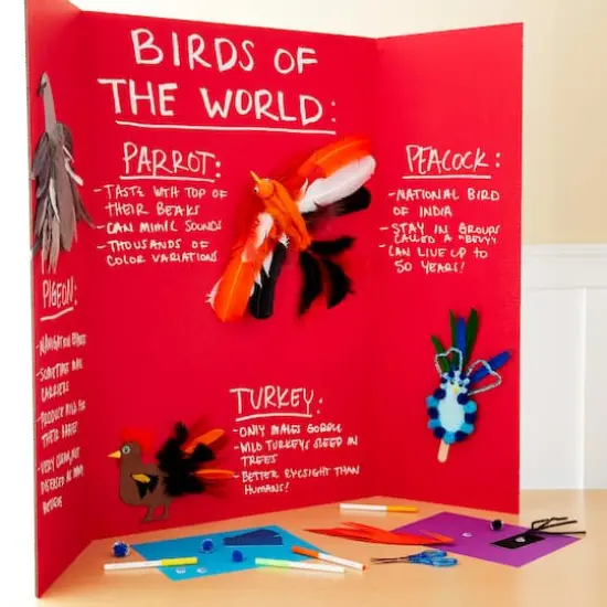 Corrugated Tri-Fold Display Board, 36" x 48" Red {3}