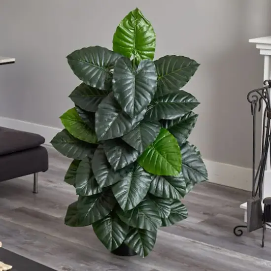 4ft. Potted Taro Plant {3}