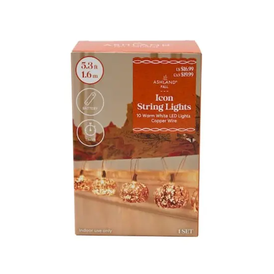 10ct. Warm White LED Pumpkin Icon String Lights by Ashland&reg; {4}