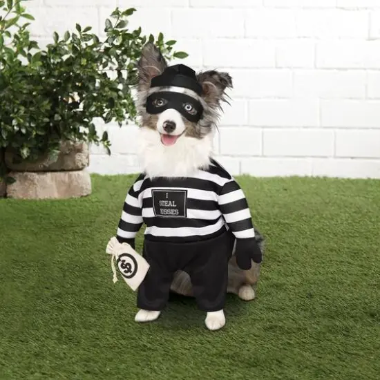Robber Dog Costume by Ashland® {3}