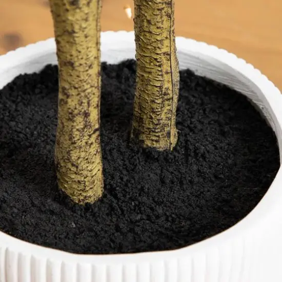 5ft. Enkianthus Tree in White Decorative Planter {9}