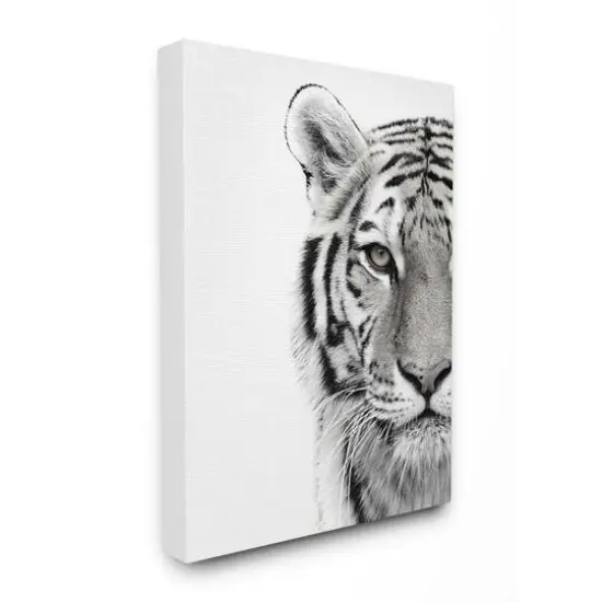 Stupell Industries White Tiger Black & White Photo Wall Accent {1}