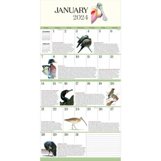 TF Publishing 2024 What It's Like To Be A Bird Wall Calendar {4}