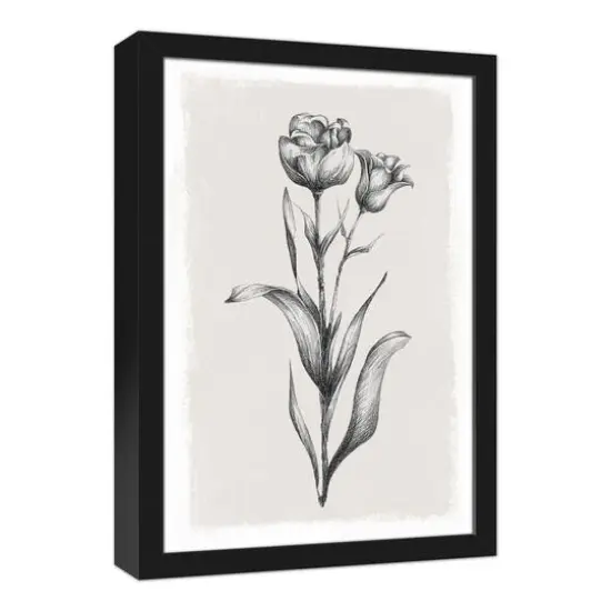 Floral Stems Sketch 13.73" x 19.73" Black Framed Canvas {3}