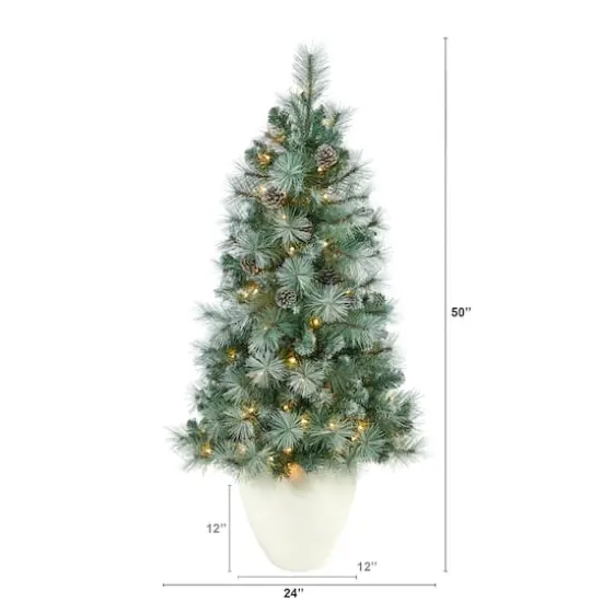 4ft. Pre-Lit Frosted Tip British Columbia Mountain Pine Artificial Christmas Tree with Pinecones, Clear Lights {3}