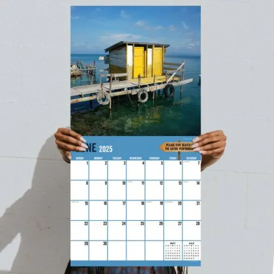 TF Publishing 2025 Outhouses Wall Calendar {6}