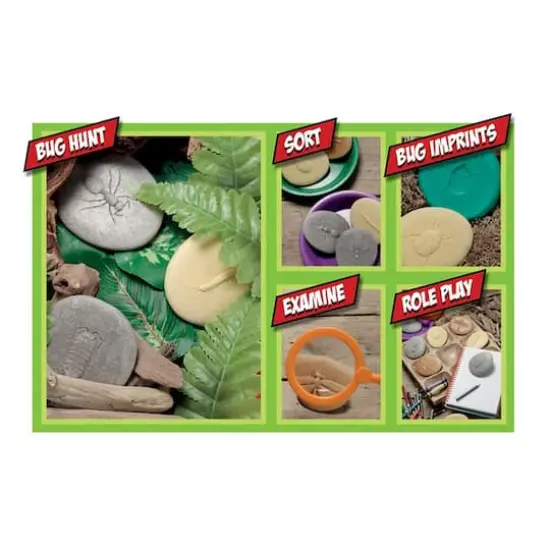 Yellow Door Let's Investigate Bugs Stone Set {3}