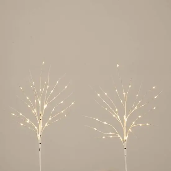 2 Pack 24in. Pre-Lit Artificial White Birch Branches, Warm White LED Lights {9}