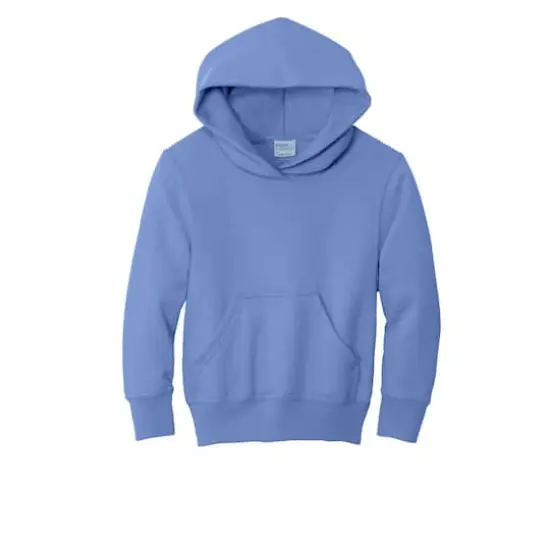 Port & Company&reg; Colors Youth Core Fleece Pullover Hooded Sweatshirt Carolina Blue {1}