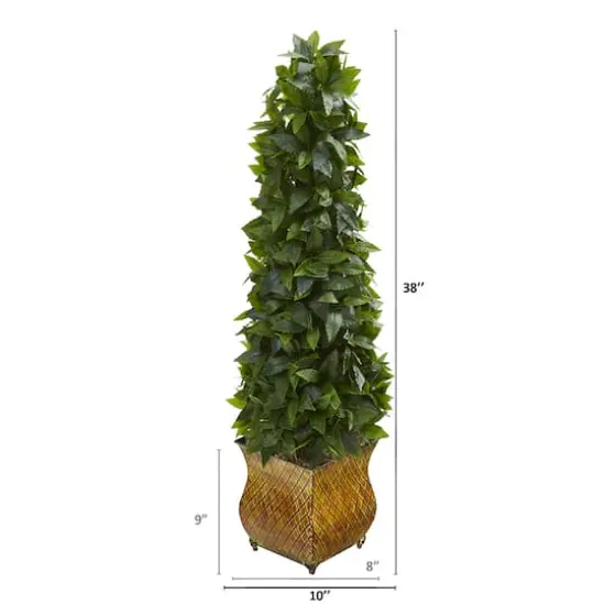 3ft. Sweet Bay Magnolia Cone Topiary Tree in Decorative Metal Planter {3}