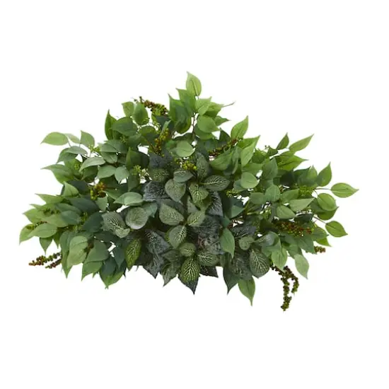 20'' Mixed Ficus & Fittonia Ledge Plant  {1}