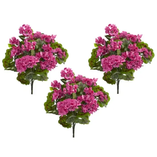 Pink & Green Geranium Bush, 3ct. {3}