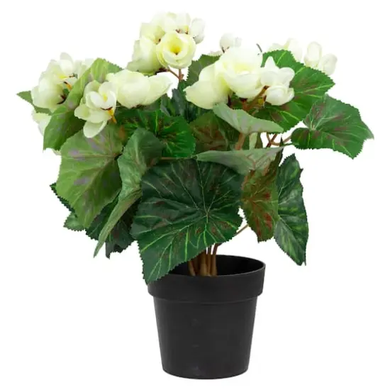 11" Cream Potted Silk Begonia Floral Arrangement {1}