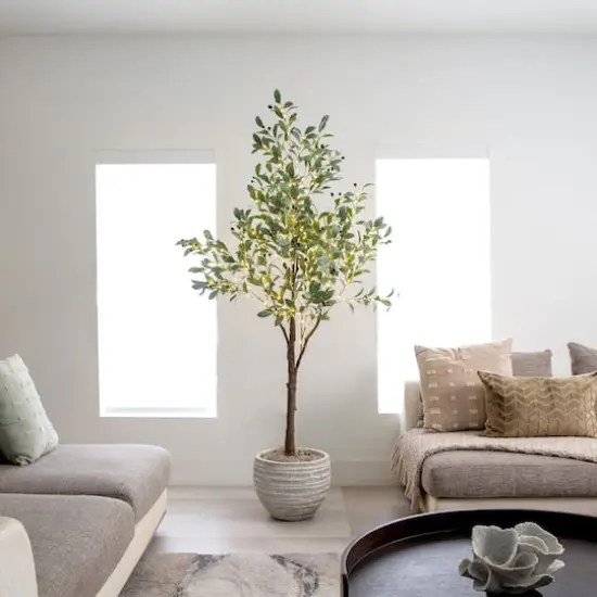 6ft. Pre-Lit Artificial Fruiting Olive Tree with Warm White LED Lights {3}