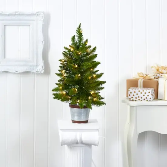 2ft. Pre-Lit Providence Pine Artificial Christmas Tree, Warm White Lights {6}