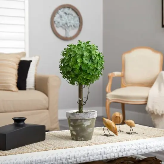 20" Potted Eucalyptus Single Ball Topiary Tree {5}