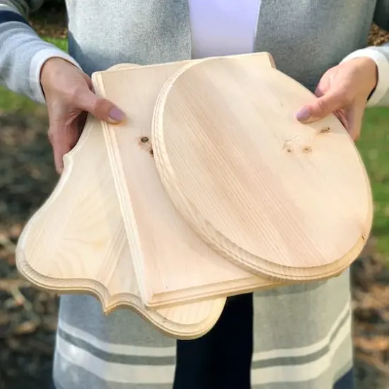 ArtSkills 9" x 12" Assorted Shapes Unfinished Wood Plaque Set {8}