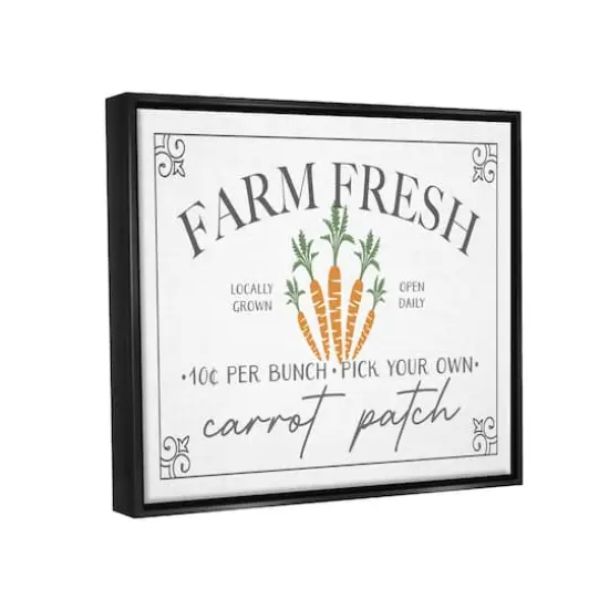 Stupell Industries Farm Fresh Carrot Patch Seasonal Springtime Vegetables Floater Framed Art Black {4}