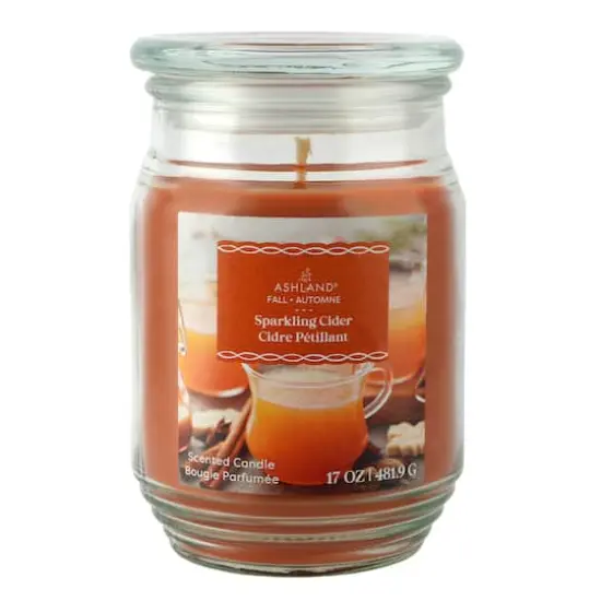 17oz. Fall Scented Jar Candle by Ashland&reg; Sparkling Cider {1}