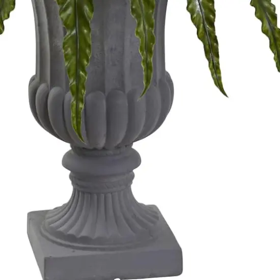 2.5ft. Birdsnest Fern with Urn {4}